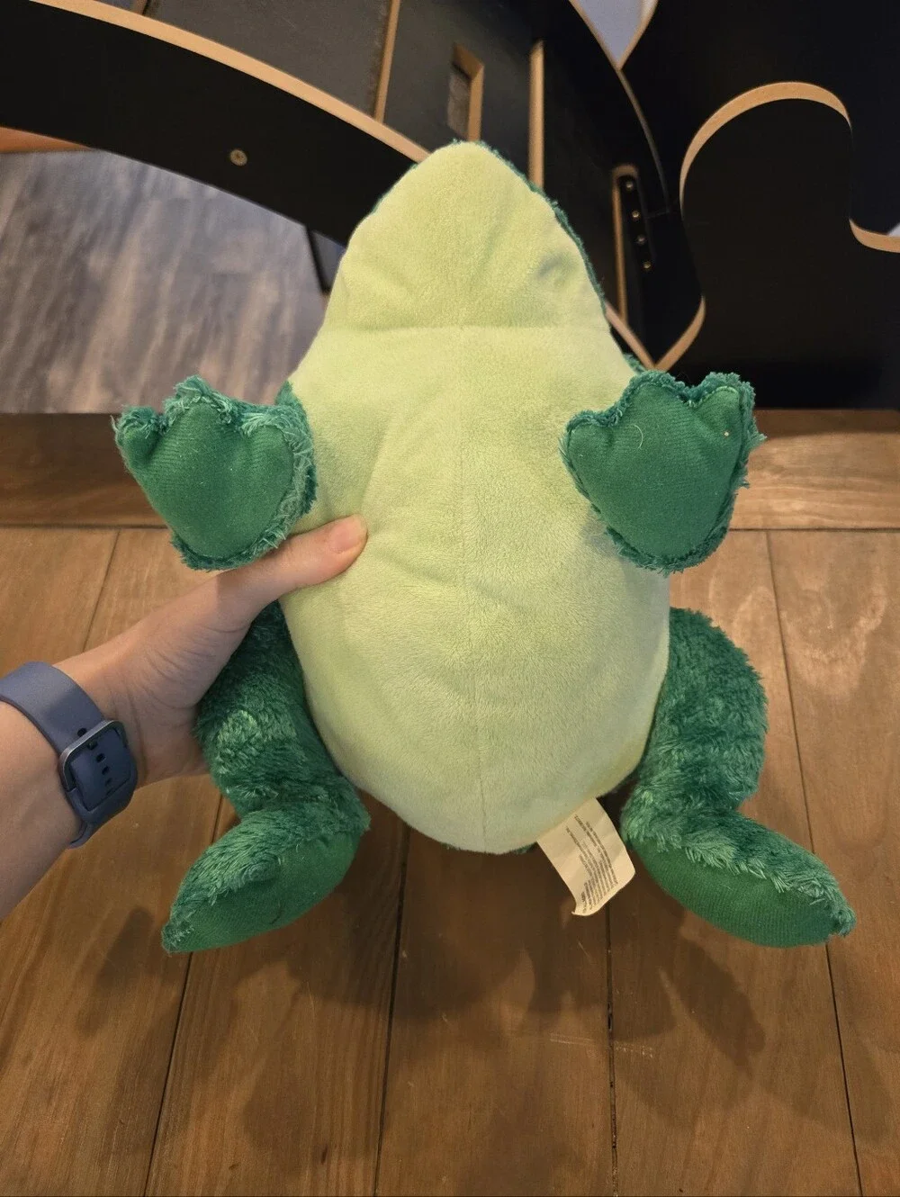 Green Plush Frog Kohls Cares Soft Stuffed Animal Leo Lionni Its Mine!